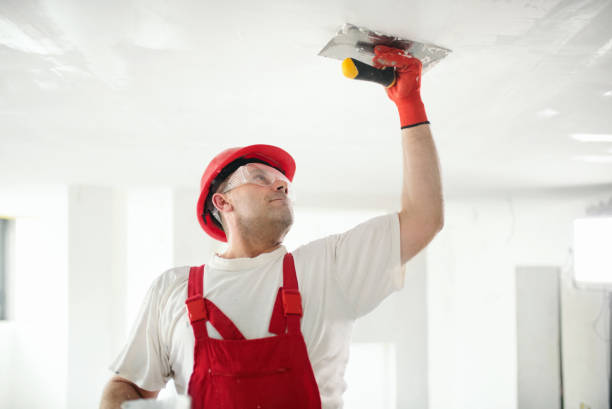 Best Biohazard Mold Removal  in Fosston, MN